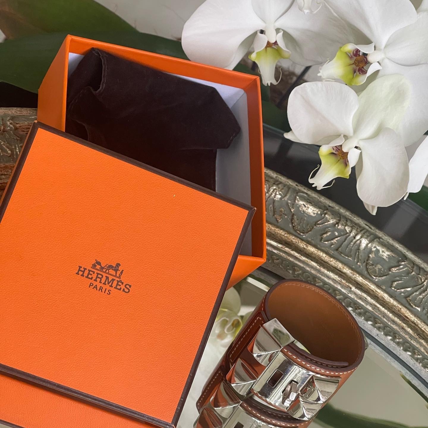 9faf3413-68b2-4079-9401-1415c7844d6b